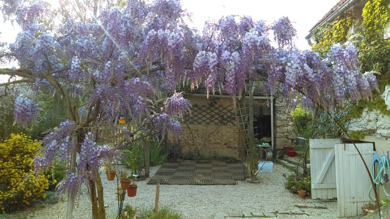 Bed and Breakfast Les 3 Roses Villeneuve-sur-Yonne Zewnętrze zdjęcie